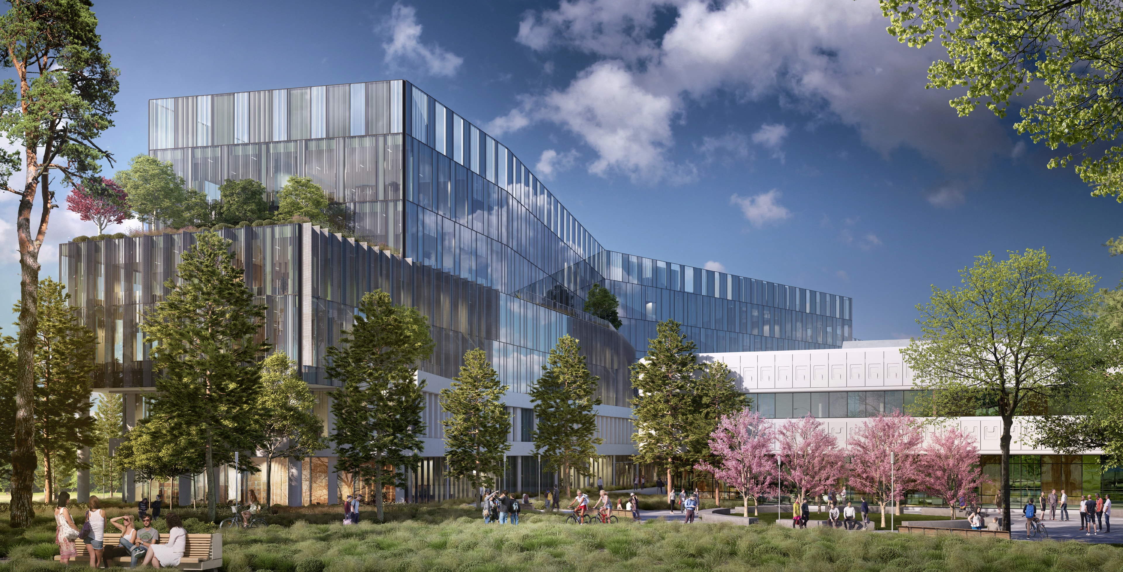 Street-level rendering of LinkedIn Middlefield Campus glass office building with pink cherry trees and people on lawn